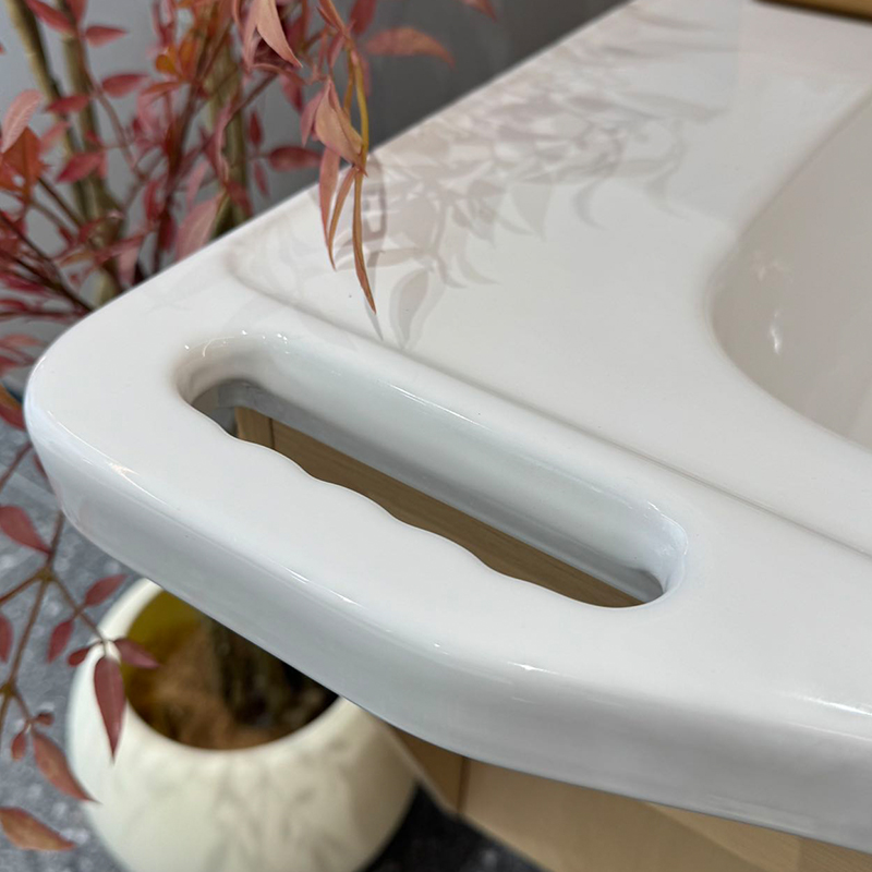 Barrier Free Bathroom Vanity S - огляд і ціна Home Bathroom Sink